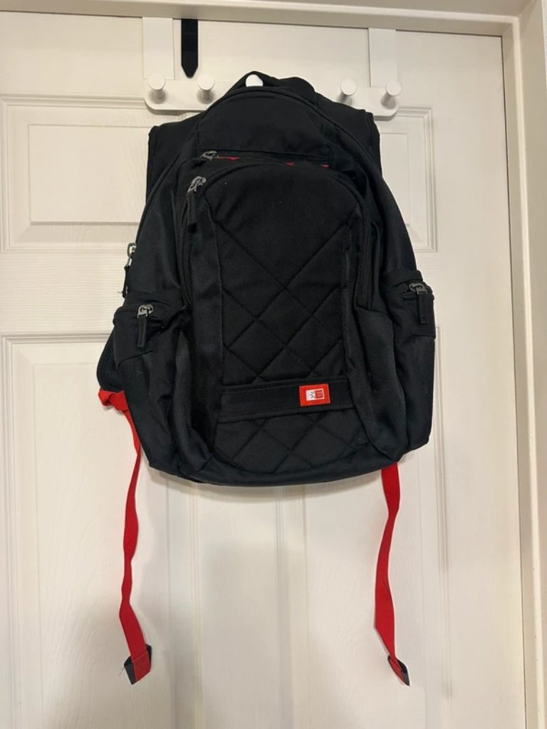 Case Logic Backpack